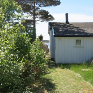 Landkrabben 5
